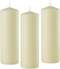 D'light Online 3 X 8 Inch Pillar Candles Set of 12 Bulk Event Pack Round Unscented Premium Wax Pillar Candles for Wedding, Spa, Party, Birthday, Holiday, Bath and Home Decor (3X8, Ivory)
