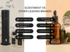 Scentiment Diffuser Oil - Day Dream | Inspired by Luxury Five Star Hotel White Tea Scent | Aromatherapy Home Fragrance| Luxurious Scent with Notes of Aloe Vera, Cedar, White Tea (500 mL)