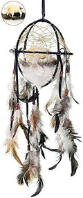 6" Cage Dream Catcher - DC06064 (White Buffalo)