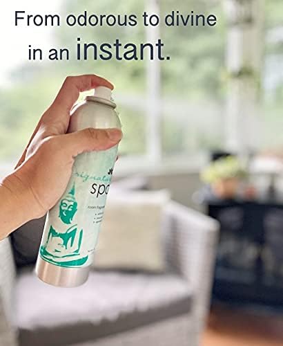 Room Fragrance Air Freshener Spray Concentrated Bathroom, Kitchen, Car, or Office Deodorizer, U.S.- Made by AP Fragrance (Endless Ocean)
