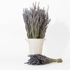 Victoria's Lavender Linen Spray - Aromatherapy Pillow Mist & Linen Spray, Soothing Lavender Essential Oil for Bed & Pillow Comfort, Ideal Holiday Gift, Handmade in Oregon, Made in USA (8 oz + 2 oz)