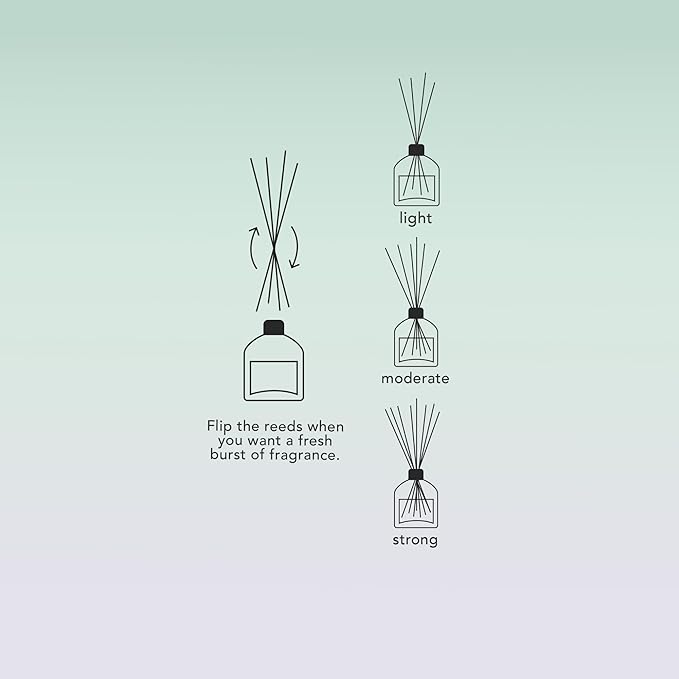 Luxury Reed Diffuser for Home & Bathroom – Ash & Iron Fresh Horizon, Crisp Alpine Air & Cactus Blossom, 125 mL, 3–5 Month Duration