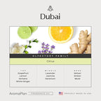 AromaPlan Hotel Scents Dubai 5 Fl Oz (2 Pack), Luxury Aroma & Hotel Fragrance Diffuser Oil- Hotel Diffuser Oil for Aromatherapy- USA Made, Bigger Bottle, Bolder Aroma & Longer Lasting