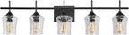 Modern Glass Vanity Light Fixture,5 Light Industrail Black Metal Vanity Light for Bathroom Bedroom Living Room