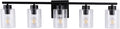 5 Light Bathroom Light Fixtures, 33.3 Inches Bathroom Lighting Fixtures Over Mirror, Black Vanity Light with Clear Glass Shades