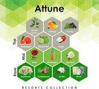 Aroma Retail Fragrance Oil Refill for Scent Machine Aroma Diffuser (27 fl oz, Attune)