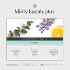 AromaPlan Hotel Scents Minty Eucalyptus 16 Fl Oz (473ml), Home Luxury Aroma & Hotel Diffuser Oil- Hotel Diffuser Oil for Aromatherapy- USA Made, Bigger Bottle, Bolder Aroma & Longer Lasting