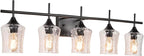 Modern Glass Vanity Light Fixture,5 Light Industrail Black Metal Vanity Light for Bathroom Bedroom Living Room