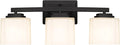 Adam Modern 3-Light Vanity Light Industrial Wall Sconce Lighting Fixture with Etched Glass Shade in Dark Bronze Black Finish for Bathroom, Hallway, Kitchen, Mirror