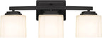 Adam Modern 3-Light Vanity Light Industrial Wall Sconce Lighting Fixture with Etched Glass Shade in Dark Bronze Black Finish for Bathroom, Hallway, Kitchen, Mirror