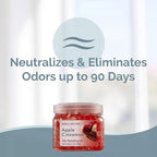 SMELLS BEGONE 12 oz Odor Eliminator Gel - Air Freshener - Absorbs & Eliminates Odor in Bathrooms, Basements, Cars, Boats, RVs & Pet Areas - Made with Essential Oils - Apple Cinnamon