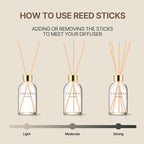 COCODOR Herbarium Reed Diffuser/April Breeze/6.7oz(200ml)/ Fragrance Scent Essential Oil Stick Diffuser Set for Bedroom Bathroom Home Décor