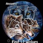 Remorelt Wolf Eagle Bear Dream Catcher Bedroom Wall Decor, Christmas Home Decoration, Room Accessory, White Moon Feather Decoration - Unique Home Craft Wall Pendant (DC07 8Inch 3D Wolf)