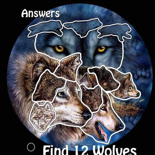 Remorelt Wolf Eagle Bear Dream Catcher Bedroom Wall Decor, Christmas Home Decoration, Room Accessory, White Moon Feather Decoration - Unique Home Craft Wall Pendant (DC07 8Inch 3D Wolf)