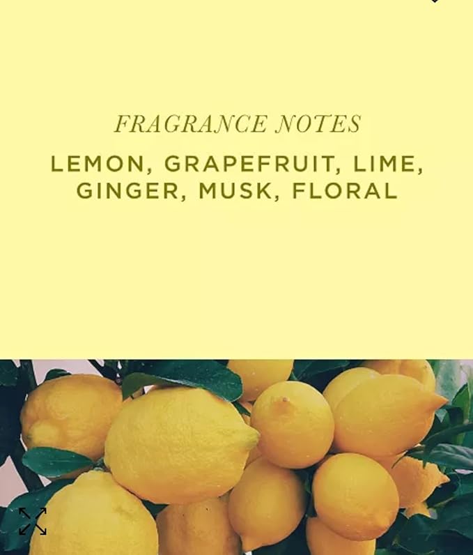 Aromatique Sorbet Decorative Fragrance 7 oz Potpourri Bag for Home Décor and Gift