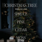 Sweet Water Decor Christmas Tree Reed Diffuser Set - Spruce, Pine Needles, Cedar, and Moss Scented Diffusers - Scent Diffusers for Home, Long Lasting Fragrance, Made in The USA
