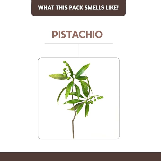 Folkulture Pistachio Incense Sticks with Holder (100 Sticks)| Pistachio Sweet Incense Stick for Meditation, Aromatherapy| No Charcoal,Organic,Non Toxic, 45 Mins, Long Burning Insence-Sticks