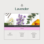 AromaPlan Hotel Scents Lavender 5 Fl Oz (2 Pack), Luxury Aroma & Hotel Fragrance Diffuser Oil- Hotel Diffuser Oil for Aromatherapy- USA Made, Bigger Bottle, Bolder Aroma & Longer Lasting