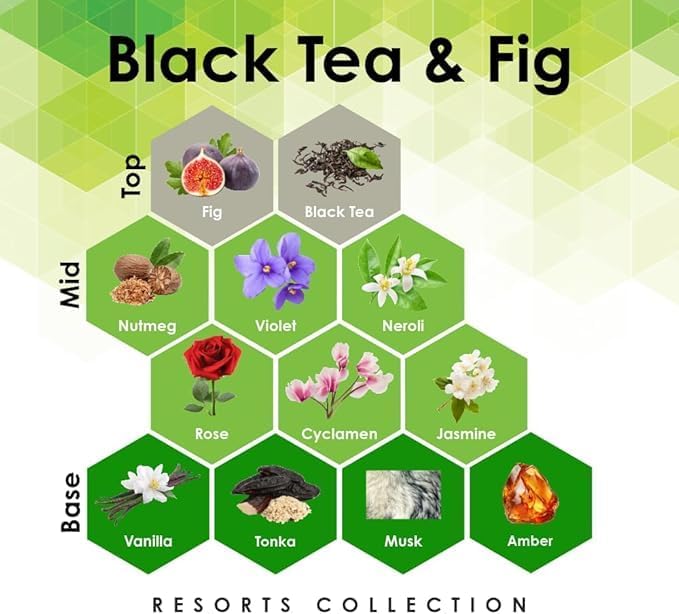 Aroma Retail Fragrance Oil Refill for Scent Machine Aroma Diffuser (27 fl oz, Black Tea Fig)
