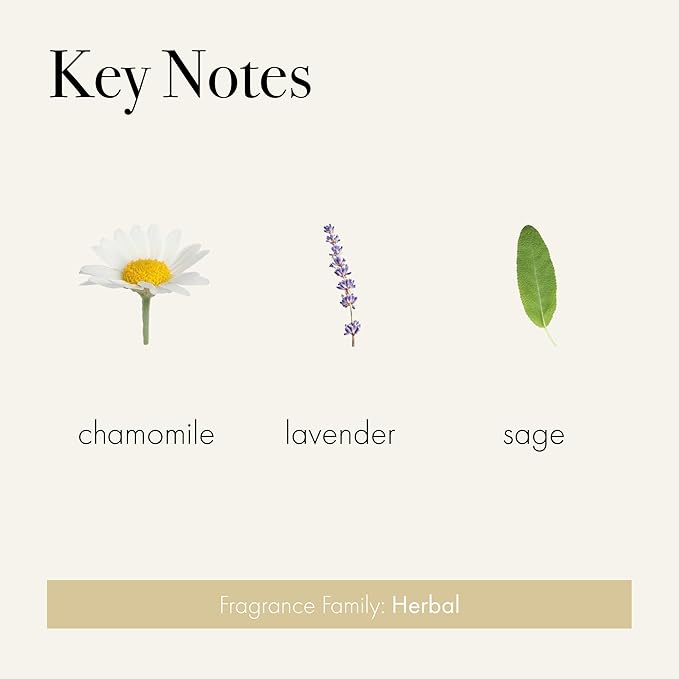 LAFCO New York Signature Reed Diffuser, Chamomile Lavender - 15 oz - Up to 9 Months Fragrance Life - Reusable, Hand Blown Glass Vessel - Natural Wood Reeds - Made in The USA