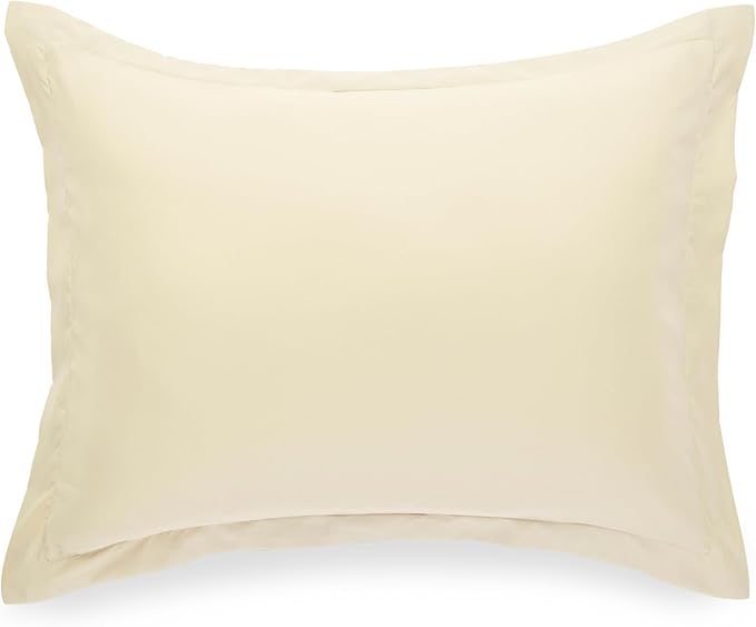 Amazon Basics Lightweight Microfiber 2-Piece Duvet Cover Set, Beige, Solid, Twin/Twin XL