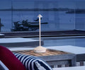 Regalia Rechargeable LED Table Lamp | Cordless Dimmable Touch Control | Waterproof Modern Lighting | USB-C Charging | Bedroom Living Room Nightstand Accent Table Lamp | Brown | 4-Piece Set