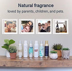 Room Fragrance Air Freshener Spray Concentrated Bathroom, Kitchen, Car, or Office Deodorizer, U.S.- Made by AP Fragrance (Endless Ocean)