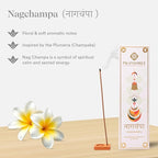 Pujashree Bambooless Agarbatti Incense Sticks 40 pcs 8 Inches | 100% Natural Charcoal Free Agarbatti Sticks | Long Lasting Burn | Woody Aroma | Neelgandha Fragrance (Nagchampa)