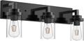 MELUCEE Vintage Bathroom Lighting Fixtures Over Mirror, 3-Light Modern Vanity Lights Black Finish Industrial Wall Sconce with Clear Glass Shade