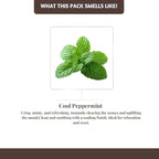 Folkulture Unwind Incense Sticks with Holder (100 Sticks) | Peppermint Incents Stick for Focus,Aromatherapy, Relaxation Gifts for Women | No Charcoal,Organic,Non Toxic, 45 Mins, Slow Burning Insence
