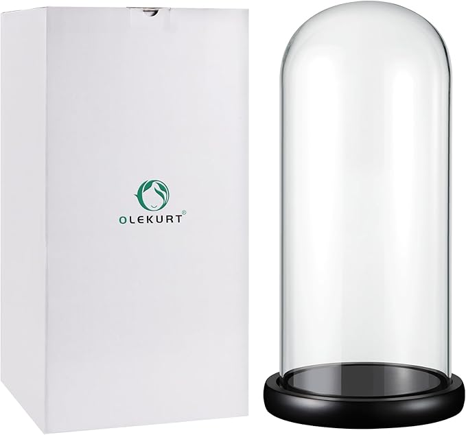 12"Hx 5.5"D Glass Display Dome Cloche with Wood Base, Cloche Bell Jar for Gold Dipped Rose, Antique Collectibles,Figurine, DIY Snow Globes, Plant