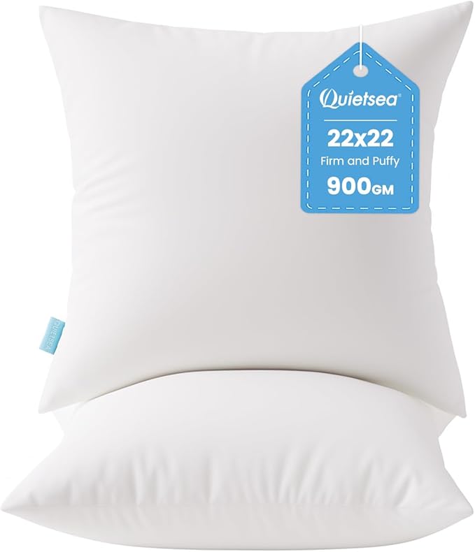 QUIETSEA 22x22 Pillow Inserts, 2 Pack Down Alternative Throw Pillow Inserts, Fluffy Soft Square Decorative Pillows for Bed, Couch and Sofa