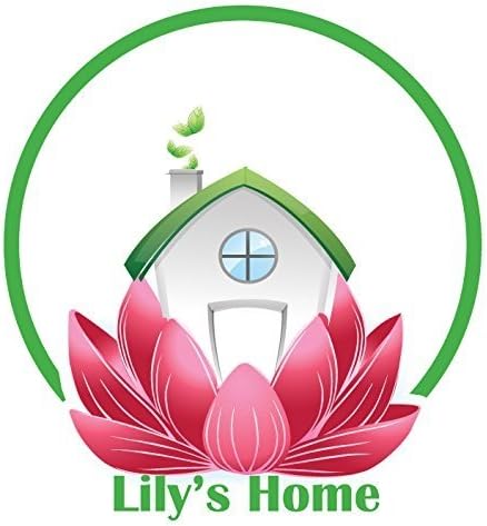 Lily's Home Antique Inspired Decorative Mantle Clock with Large Roman Numerals, Silent-Non-Ticking with Quartz Movement, Fits with Victorian or Antique Décor Theme, Black (11 3/4" Tall x 6 1/2" Wide)