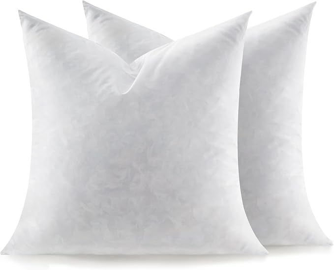 Feather Throw Pillow Inserts Set of 2, Soft Fluffy Square 22 x 22 Inches Decorative Pillow Insert, Feather and Down Filled Euro Pillows