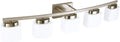 5 Light Brushed Nickel Vanity Lighting Fixture with Milky White Glass Shade for Bathroom Over Mirror, 40 Inches