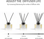 Blooms by Night (Patchouli & Sandalwood) Reed Diffuser Set - Luxury Fragrance Reed Diffusers for Home, Office & Bathroom Décor - Long-Lasting Scent with Non-Toxic Oils (5.63 oz)