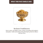Folkulture Frankincense Incense Sticks with Holder (100 Sticks)| Incents Stick for Meditation, Relaxation, Gifts | No Charcoal,Organic,Non Toxic, 45 Mins Slow Burning Insence - Yoga Inspired