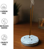 Folkulture Hawaii Incense Sticks with Holder (100 Sticks)| Premium Summer Scents Incents Stick for Aromatherapy, Relaxation | No Charcoal,Organic,Non Toxic, 45 Mins Slow Burning Insence-Sticks