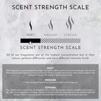 ENVIRONMENT Inspired by 5-Star Resort WN Room Spray, 100ml Air Freshener (Jasmine | Green Melon | Lily) Home Fragrance Accessories, Room Perfume, Room Deodorizer, Vegan & Cruelty-Free