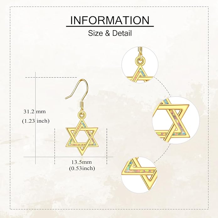 URONE 925 Sterling Silver Earrings Hook Dangle Earrings Jewelry Gifts for Women