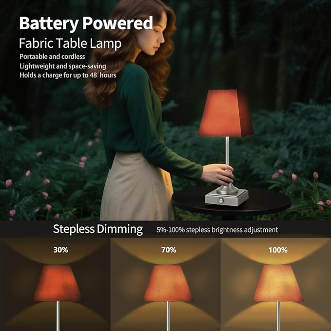 Rechargeable LED Table Lamps with Stepless Touch Control,Sliver Cordless Lamp for Living Room&Bedside&Patio&Shower,Small Desk Lamp(6000mAH Battery),2 Pack for Home Decor,Best Gifts for Family