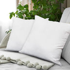 Covers & All Throw Pillow Inserts Only Pack of 2, Durable Soft Square 20 x 20 Inches 65 GSM Non-Woven Fabric with 15D Silicon Fiber Filling, Universal uses for Home Decor Office Indoor Outdoor