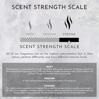 ENVIRONMENT Inspired by Designer Perfume DYPT Room Spray, 100ml Air Freshener (Baies | Currants | Quince) Home Fragrance Accessories, Room Perfume, Room Deodorizer, Vegan & Cruelty-Free