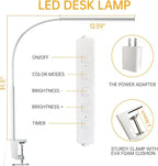 LED Desk Lamp with Clamp, Eye-Protection Clip on Desk Lamp, 5 Modes 10 Brightness Adjustment, 360°Flexible Gooseneck Lamp for Home Office, Lamps with USB Adapter，White