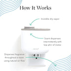 Aera Support Breathe Aromatherapy Essential Oil Home Fragrance Scent Refill - Notes of Eucalyptus, Tea Tree and Pine - Works with Aera Mini Diffuser, Mini Scent Capsule Size