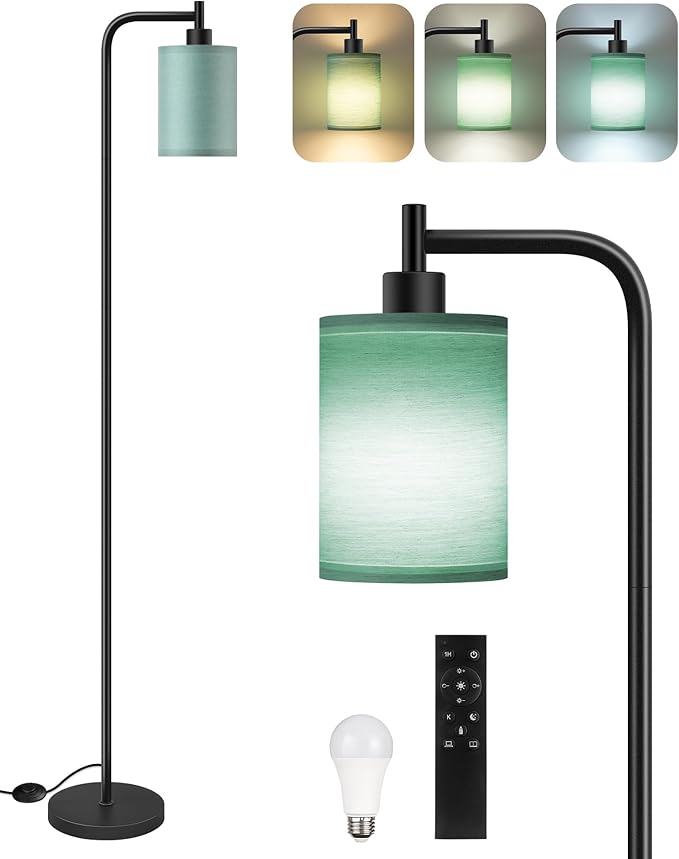 Dimmable Floor Lamp for Living Room with Remote and Foot Switch, Modern Standing, Corner Lamp,10W Bulb 3 Color Temperatures, for Bedroom, Office, Corner, ETL Listed, Black and Green J19LD05