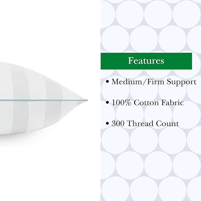 Kate Spade New York Ultra Cooling Pillow 20" x 28", 300 Thread Count Pillow with Moisture Wicking Technology, Ideal for All Sleep Positions, Queen, White