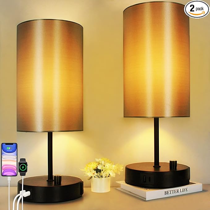 HiBay 2-Pack 17.75" Dimmable Bedside Table Lamps with 2 USB Charging Ports & AC Outlet, Industrial Black Nightstand Lights with Silver-Gray Shade for Living Room Dorm Office, Bulb Included