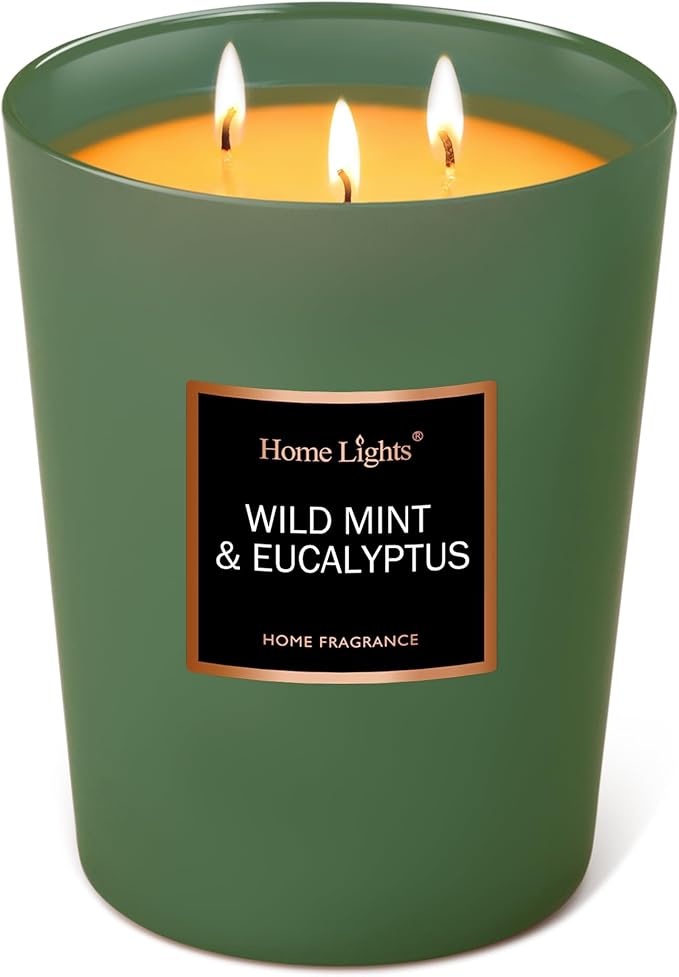 HomeLights Scented Candles - Large Jar Aromatherapy, Natural Soy Wax, 130 Hour Long Burning, Wild Mint & Eucalyptus