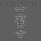Antica Farmacista Home Ambiance Diffuser - Long-Lasting Reed Scent Diffuser - Luxury Room Freshener Gift - Liquid Velvet, 16.9 fl oz